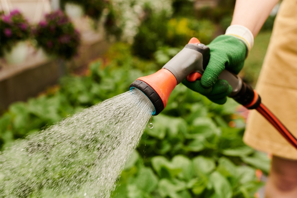 Why Water Control Matters More Than Water Volume