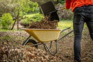 Why Mulch Is Essential for Retaining Soil Moisture