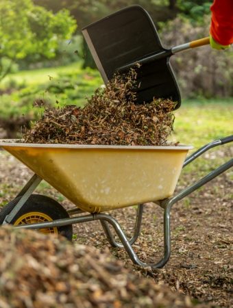 Why Mulch Is Essential for Retaining Soil Moisture