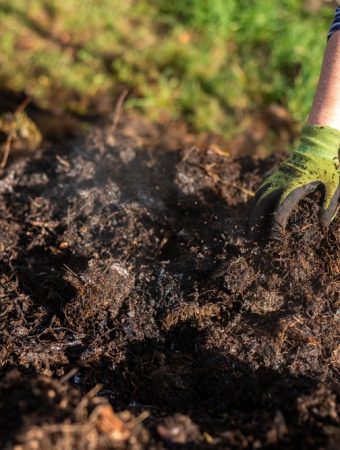 The Compost Timing Mistake That Slows Down Growth