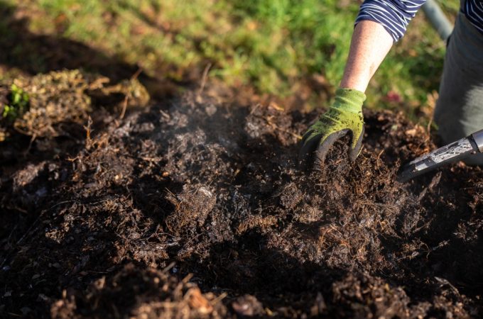 The Compost Timing Mistake That Slows Down Growth