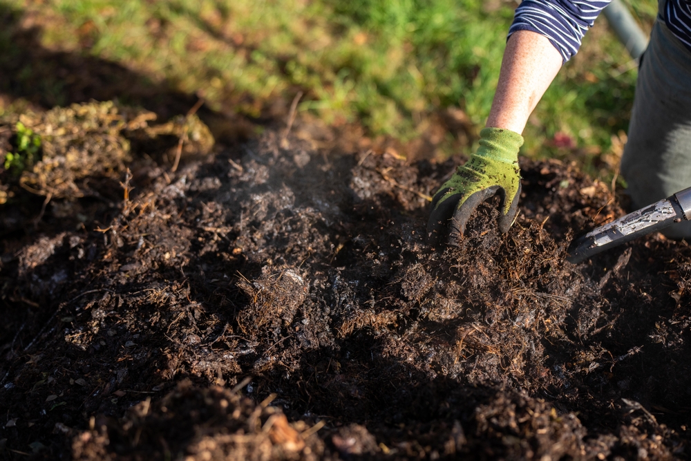 The Compost Timing Mistake That Slows Down Growth