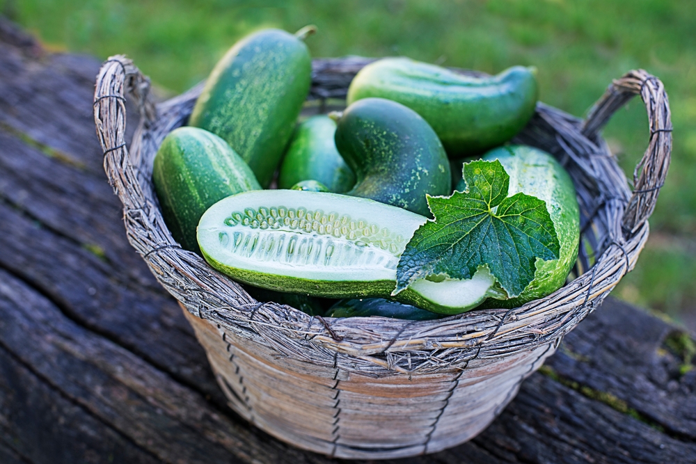 8 Seasonal Favorites That Perform Best in Late Spring
