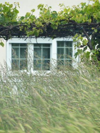 A Garden That Can Handle the Wind and Still Look Amazing