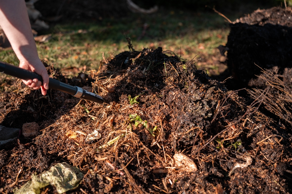 Why Nutrient Timing Impacts Growth More Than Quantity