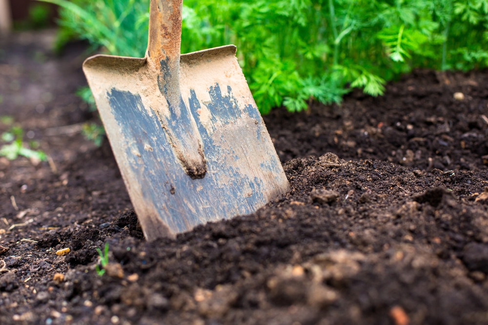 The Soil Quality Issue That Limits Production