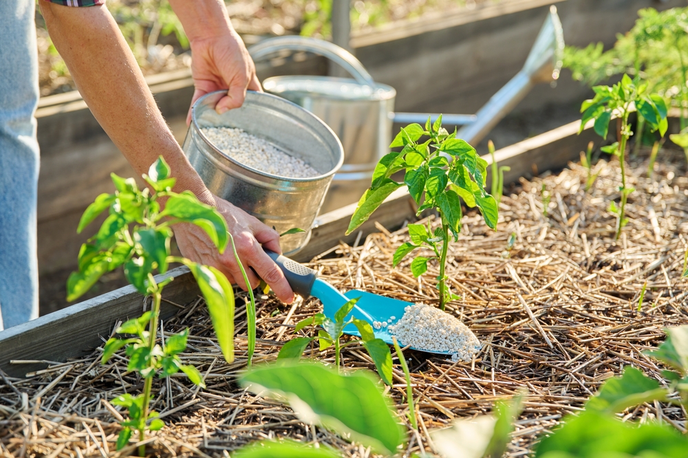 The Fertilizer Burn Risk for Newly Planted Crops