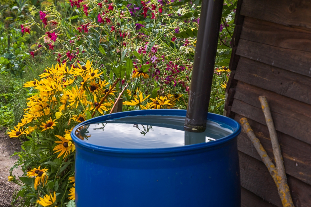 6 Water-Efficient Choices That Reduce Usage