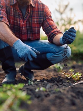 The Soil Quality Issue That Limits Production