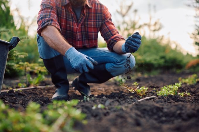 The Soil Quality Issue That Limits Production