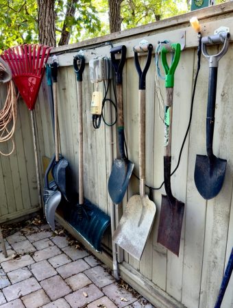 10 Common Gardening Myths That Waste Money
