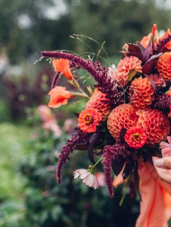 8 Spring Sun Favorites That Deliver Strong Growth