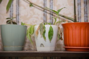 5 Disease Prevention Tips That Actually Work