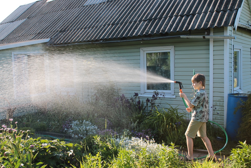 The Morning Watering Rule: Why Timing Impacts Growth More Than Quantity