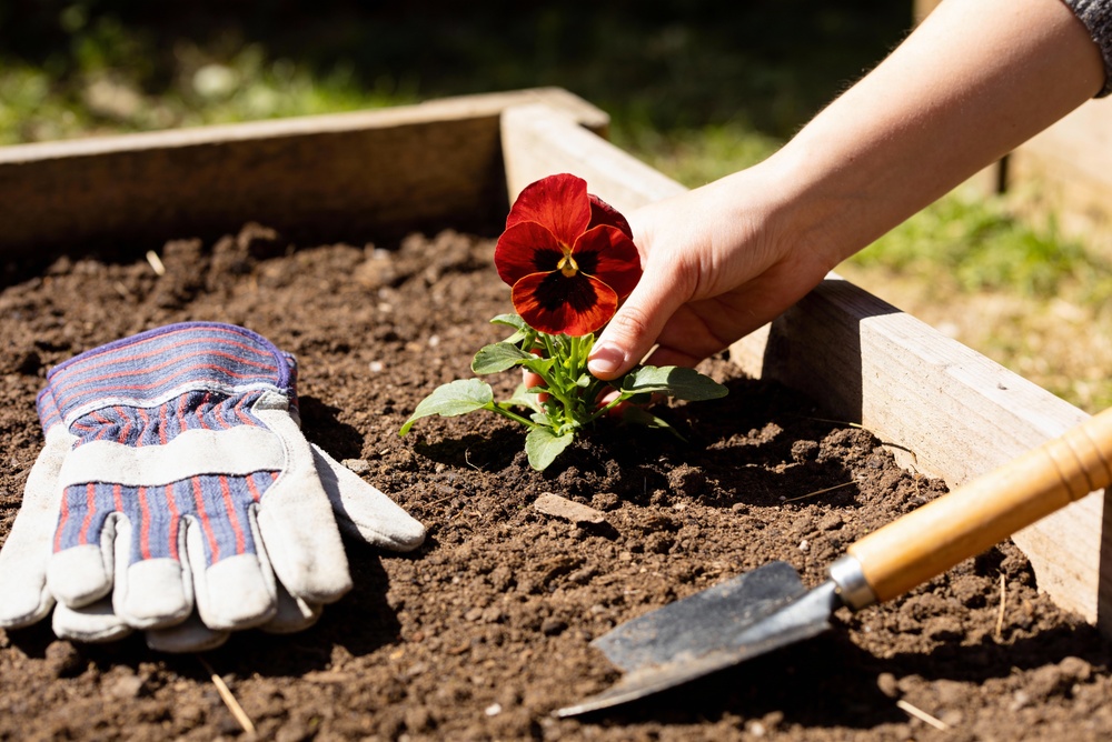 Why Raised Beds Warm Faster and Boost Early Growth