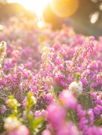 5 Simple Changes That Improve Overall Growth