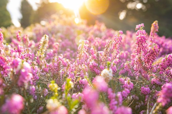 5 Simple Changes That Improve Overall Growth
