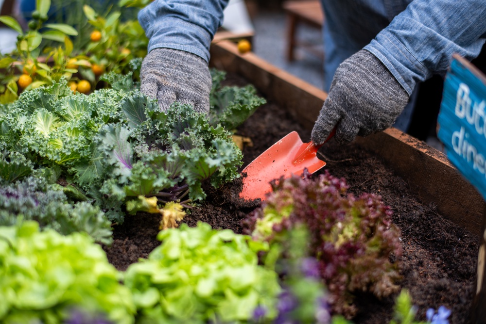 5 Garden Tasks You Should Finish Before Summer Begins