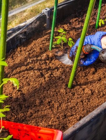 6 Water-Efficient Choices That Reduce Usage