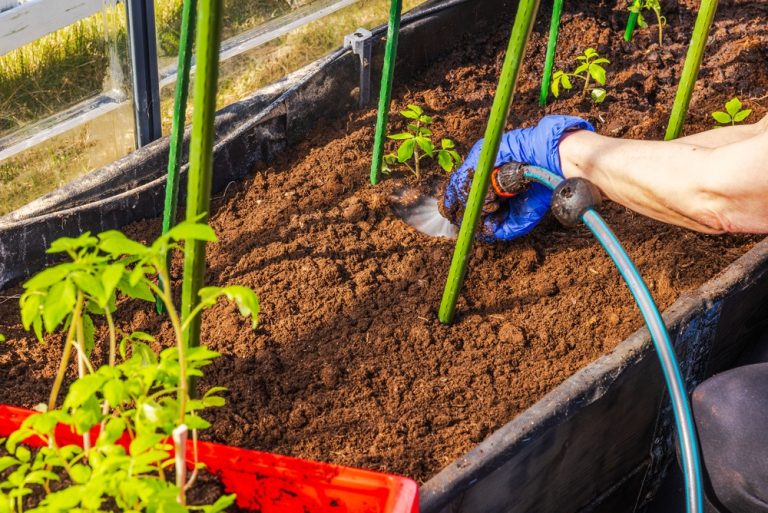 6 Water-Efficient Choices That Reduce Usage