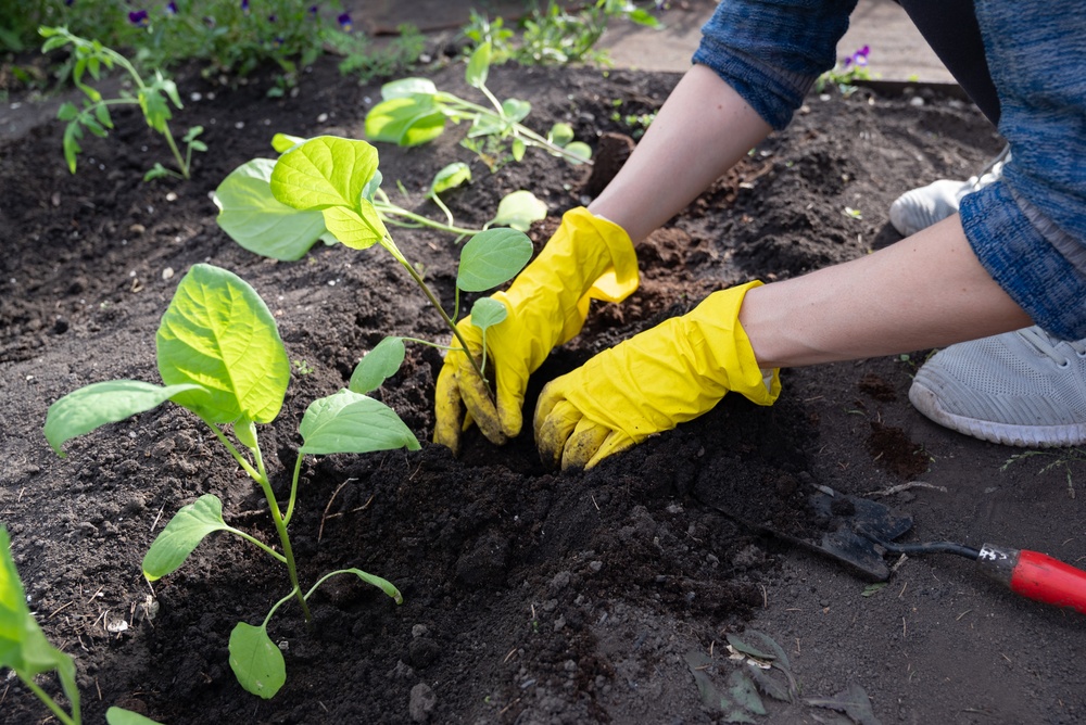 5 Soil Improvement Methods That Increase Yield