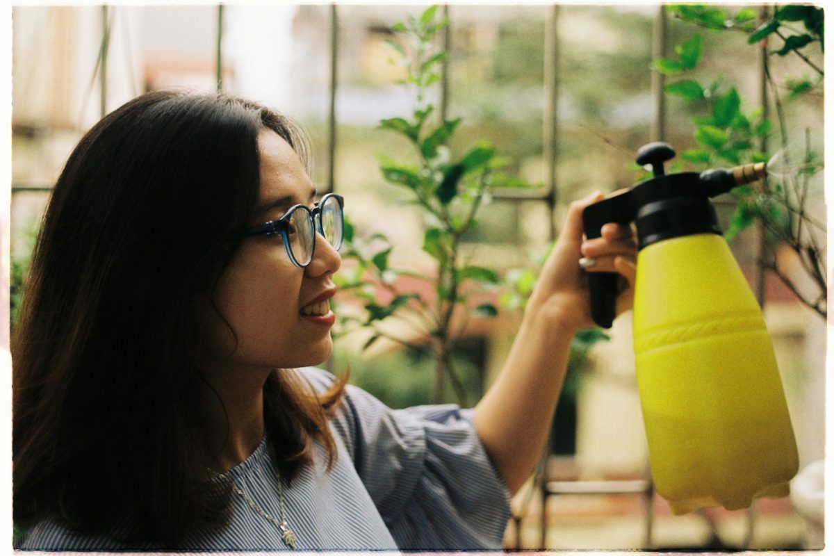 7 Natural Repellents That Help Keep Insects Away