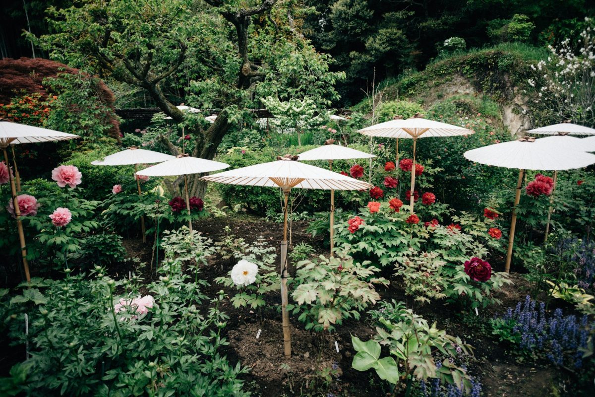 7 Strategies to Protect Growth During Early Heat Waves