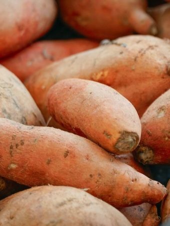 It’s Not Too Late! Start Sweet Potatoes and Pumpkins Now With Money-Saving Tips