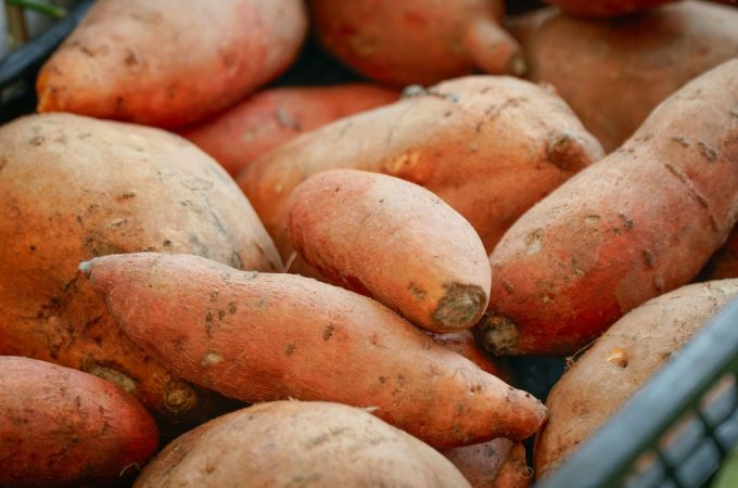 It’s Not Too Late! Start Sweet Potatoes and Pumpkins Now With Money-Saving Tips