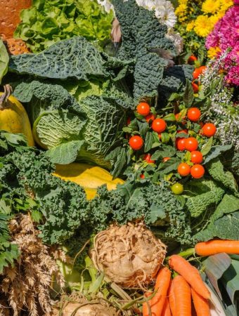 9 Flowers That Secretly Help Your Vegetable Garden Grow Better