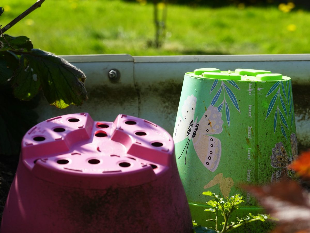 The Dollar Store Gardening Finds That Actually Work