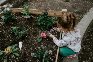 The Dollar Store Gardening Finds That Actually Work