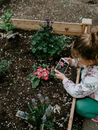 The Dollar Store Gardening Finds That Actually Work