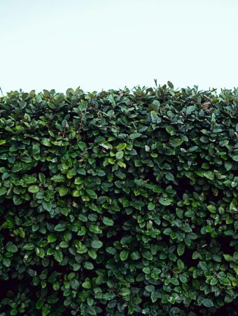 7 Backyard Upgrades That Can Make Your Home Feel More Private