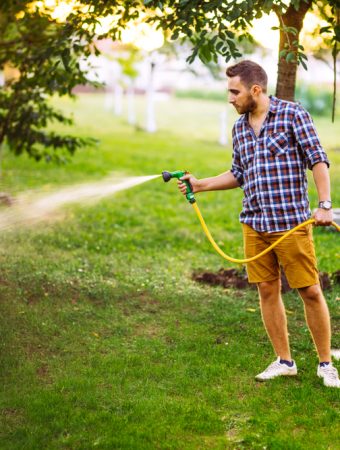 The No-Mow Gardening Trend Saving Homeowners Time and Money