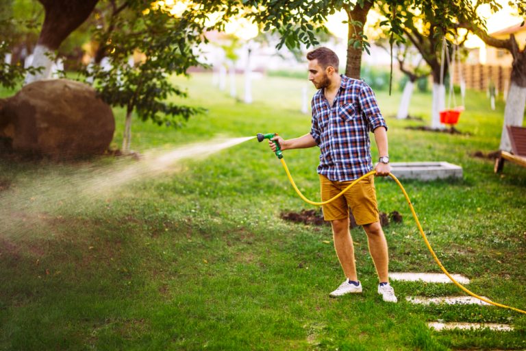 The No-Mow Gardening Trend Saving Homeowners Time and Money