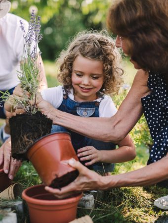 The Backyard Garden Design Trend Everyone Is Copying in 2026