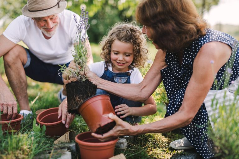 The Backyard Garden Design Trend Everyone Is Copying in 2026