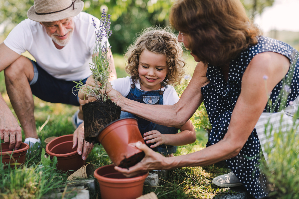 The Backyard Garden Design Trend Everyone Is Copying in 2026