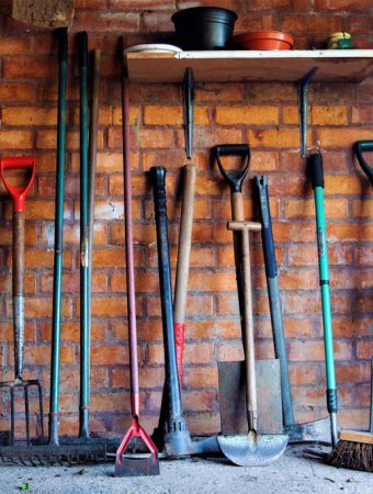 10 Gardening Tools People Say Are Total Waste of Money