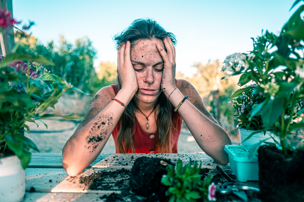 9 Garden Layout Mistakes Beginners Always Regret
