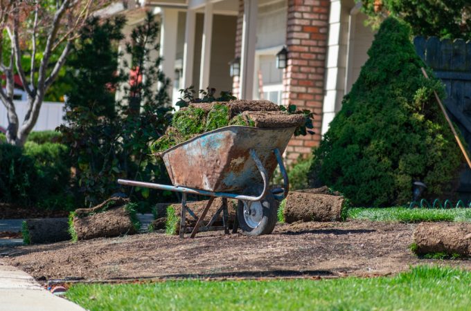 Why So Many Gardeners Are Ditching Traditional Lawns in 2026