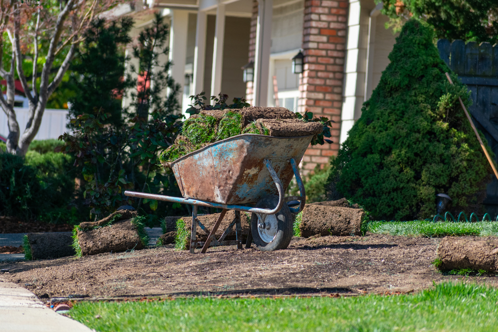 Why So Many Gardeners Are Ditching Traditional Lawns in 2026