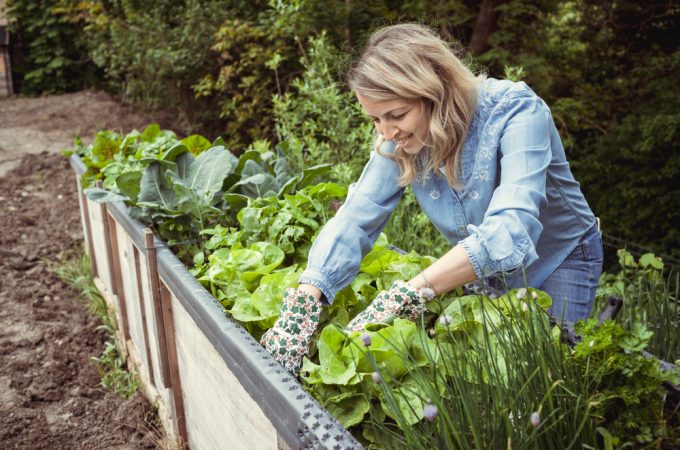The Gardening Trend That Could Increase Your Home Value