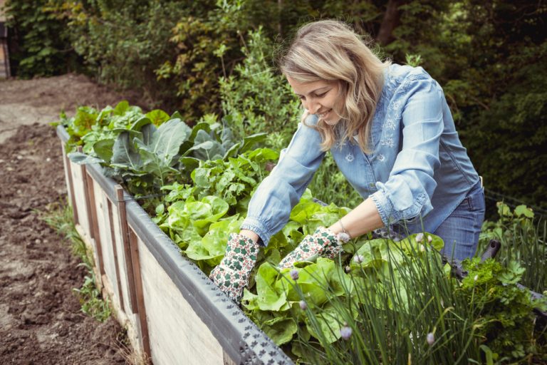 The Gardening Trend That Could Increase Your Home Value