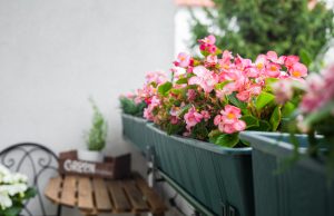 The Container Gardening Trend That’s Exploding on TikTok