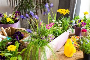 Why Container Gardening Is Booming Among Apartment Renters