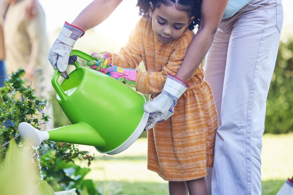 What Experienced Gardeners Wish They Knew Their First Year