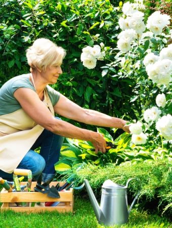 The Summer Gardening Shortcut Retirees Say Saves Them Hours Every Week