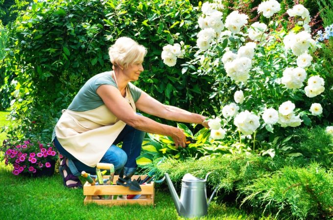 The Summer Gardening Shortcut Retirees Say Saves Them Hours Every Week
